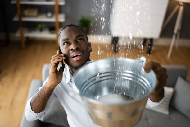  Republic, MO Water damage restoration Pros