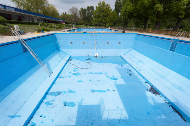 Best Basement water damage restoration  in Republic, MO