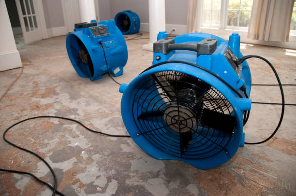 Best Commercial water damage restoration  in Republic, MO