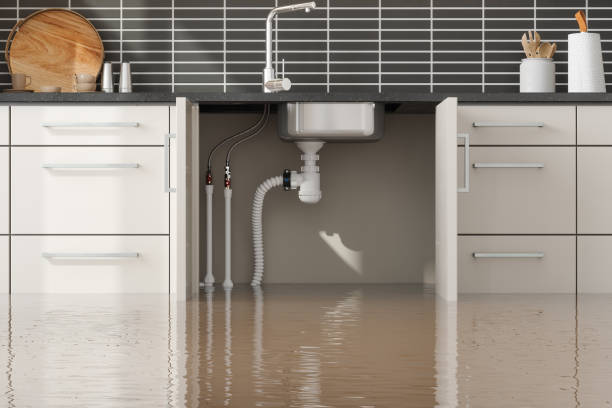 Best Carpet water damage restoration  in Republic, MO