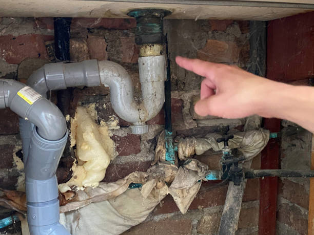 Best Water damage restoration near me  in Republic, MO