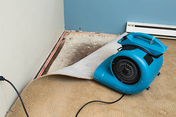 Best 24/7 water damage repair  in Republic, MO
